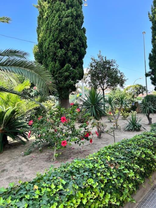 “africa” Apartament